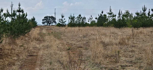 Terreno Rústico En Venta En Amealco Querétaro