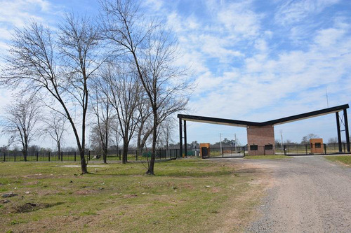 Nave Industrial En Alquiler De 16.000m2 En Parque Industrial Moreno 2 - Pim2