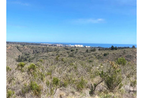 Parcelas En Algarrobo Terrenos De 5 Hectáreas Rol Propio