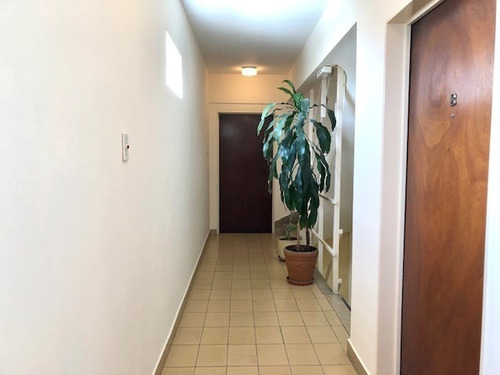 Imagen 3 de 17 de Departamento 3 Ambientes Con Balcón Y Cochera Fija. Mucha Luz!!!