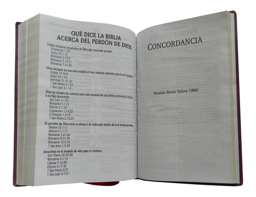 Imagen 5 de 6 de Biblia Reina Valera Letra Grande Concordancia Color Vino