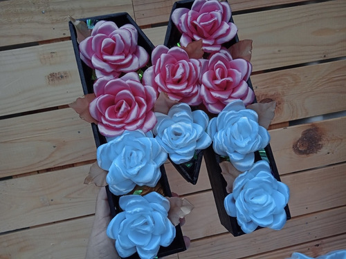 Imagen 3 de 8 de Flores Tela Razo