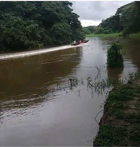 Imagen 1 de 11 de Finca De 600 Has En Arismendi Con Pozos De Agua Y Electricidad 110/220