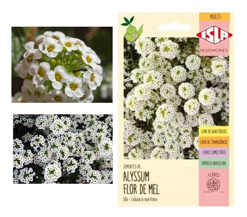 Sementes De Alyssum Flor De Mel - Env C/ 300mg De Sementes