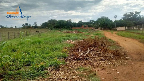 Imagem 15 de 17 de Terreno À Venda, 11000 M² Por R$800.000,00 - Zona Rural (joanápolis) Go - Te0409