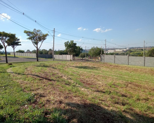 Imagem 1 de 13 de Terreno - Te00270 - 69512010