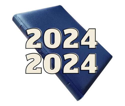 Agenda Platino Aluminio 2022 Diaria Acolchada N8 16x22,5 Cm