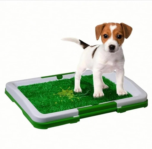 Imagen 2 de 4 de Baño Ecológico Para Perros Y Mascotas Tapete Puppy Pad