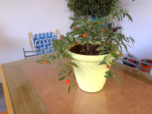 Oportunidad Unica, Vendo Casa Maimara