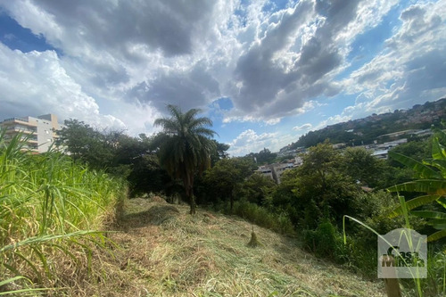 Imagem 2 de 13 de Lote À Venda No Alto Caiçaras - Código 276550 - 276550