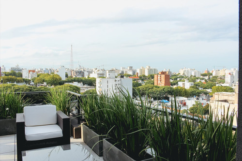 Alquiler Penthouse Amoblado Con Terraza Y Parrillero Cordon