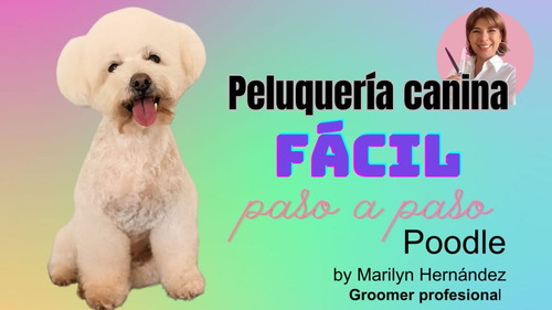 Curso Digital De Peluquería Canina 