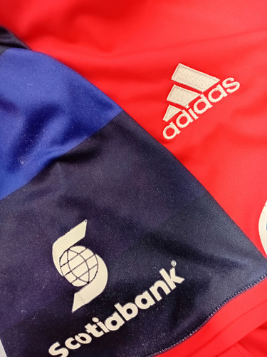 Jersey Chivas 2015 (Usado)