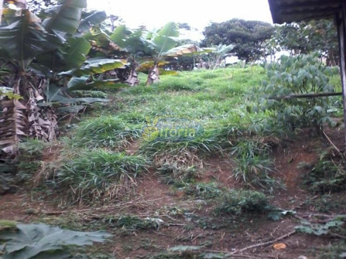 Imagem 6 de 8 de Terreno No Royal Parque - 6153