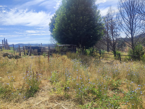 Venta De Terreno Agricola En Santa Juana