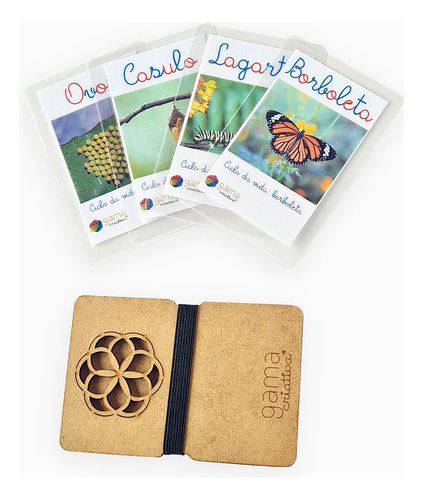 Material Didático Escolar Ciclo Da Vida Da Borboleta (4un)