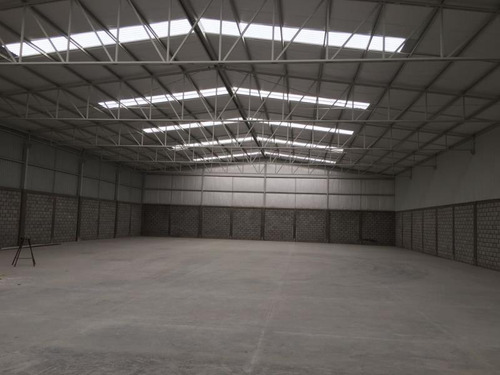 Bodega En Renta En Oscar Flores Tapia, Torreón, Coahuila De Zaragoza