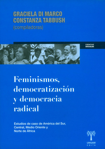 Feminismos  Democratización Y Democracia Radical Estudios De