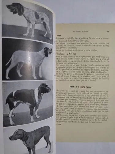 Perros De Rastro Y De Parada / Juan Roig (Usado)