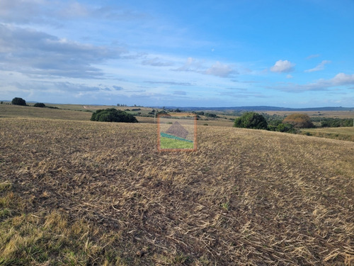 Imagen 11 de 26 de 70 Hectáreas De Campo Ganadero Corte De La Leña