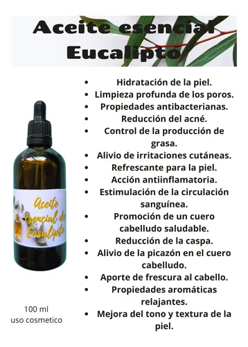 Aceite Esencial De Eucalipto 100ml Puro, Natural Y Refresc