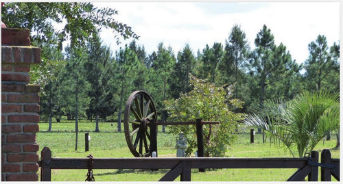 Imagen 2 de 2 de Campo En Venta Cañada Bellaca 5 Hectáreas