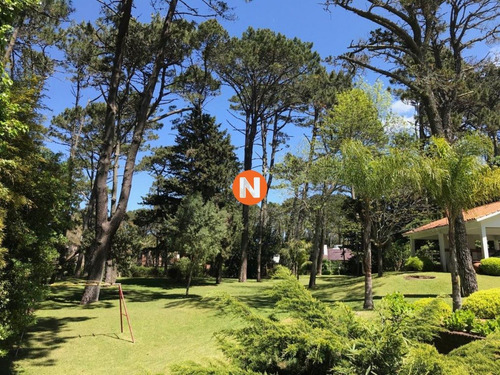 Oportunidad, Casa En Venta, Golf, Punta Del Este, 6 Dormitorios.- Ref: 206771
