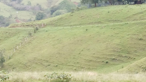 Se Vende Finca Trujillo - Valle Del Cauca 