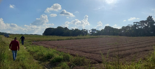 Imagem 20 de 21 de 03o- Inacreditável Terreno Em Uma Cidade Boa Pra Você