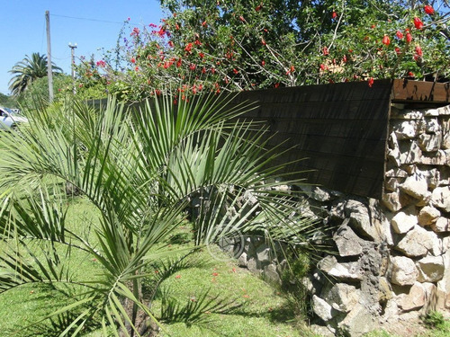Imagen 5 de 30 de Los Robles En La Coronilla