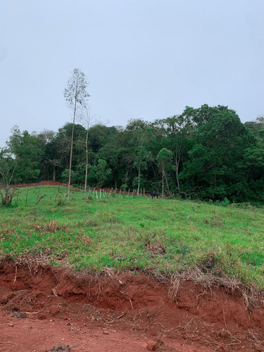 Imagem 6 de 14 de A1- Venha Garantir Seu Terreno Na Promoção De Fim De Ano