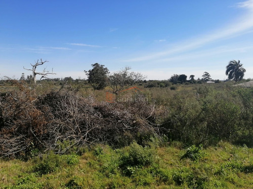 Campo En Uruguay, Rocha