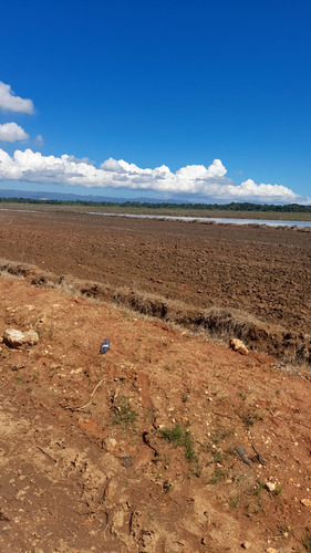 Te Vendo Excelente Finca Sembrada De Arroz/nagua.