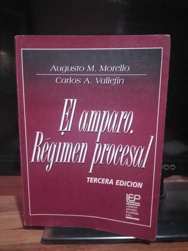 El Amparo Régimen Procesal Morello Vallefin