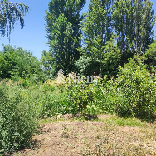 Agrícola En Venta En Malloa
