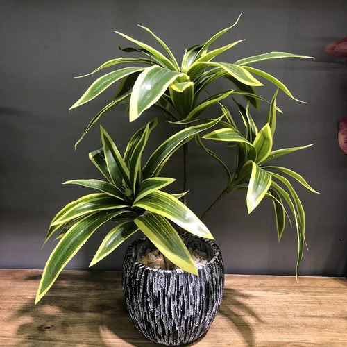Nova Rama De Bambú De Plástico Con Forma De Palmera