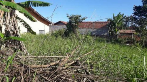 Ótimo Terreno Murado De 250 Mts Em Itanhaém - 4569 | Npc