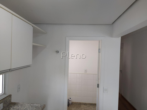 Imagem 24 de 30 de Apartamento Á Venda E Para Aluguel Em Cambuí - Ap028608