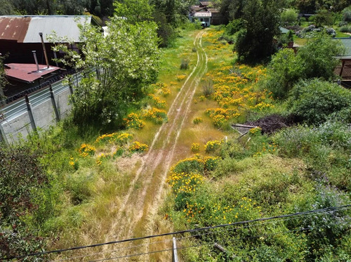 Terreno Plano A Una Cuadra De Av Eastman 1300m2
