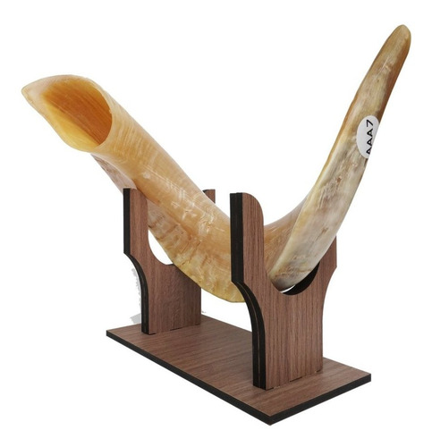 Set Combo Shofar De Carnero  Entre 49 A 55 Cm Saa6 + Atril 