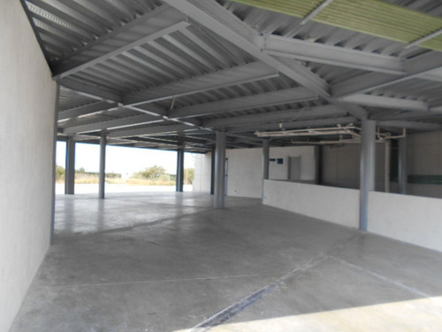 Oficinas Piso Completo En Renta Edificio Milenio Iii Querétaro