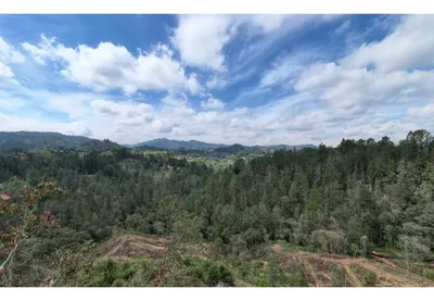Lote y casalote en venta