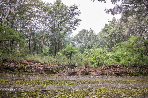 Terreno En Venta Reserva De Los Encinos, Teuchitlán