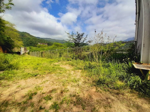 Imagen 21 de 30 de Terreno En Mampote Mls: 23-6747 (linda Sahhar)