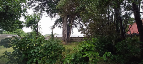 Se Vende Cómoda Y Acogedora Propiedad En Ancud