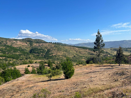 Terreno En Arriendo Con Alto Potencial Multipropósito