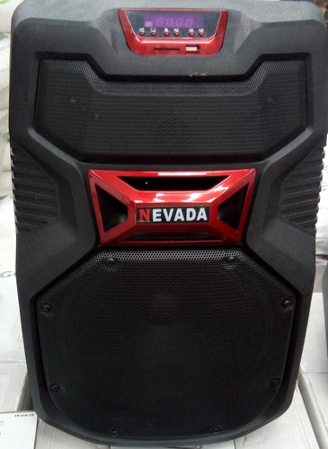 Combo Corneta Amplificada 800 W Bluetooth 2 Microfonos Paral