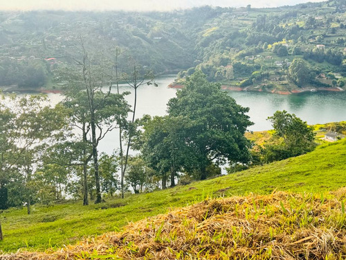 Vendo Lote En El Lago Calima