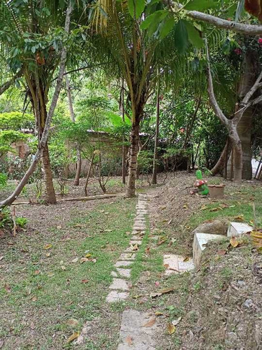 Imagen 8 de 14 de Granja En Venta Carretera Duaca Aroa