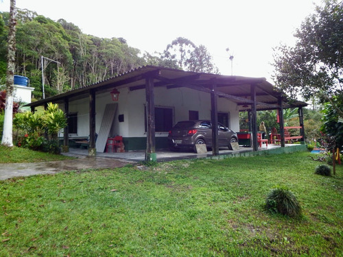Imagem 14 de 15 de Chácara Com 3 Lagos Piscina Pomar 2 Casas Área De Churrasco